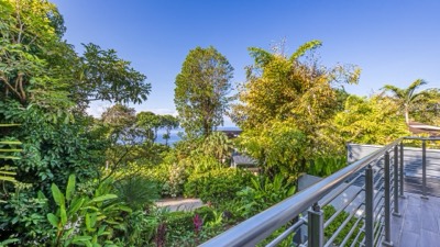 The deck looking out over the jungle